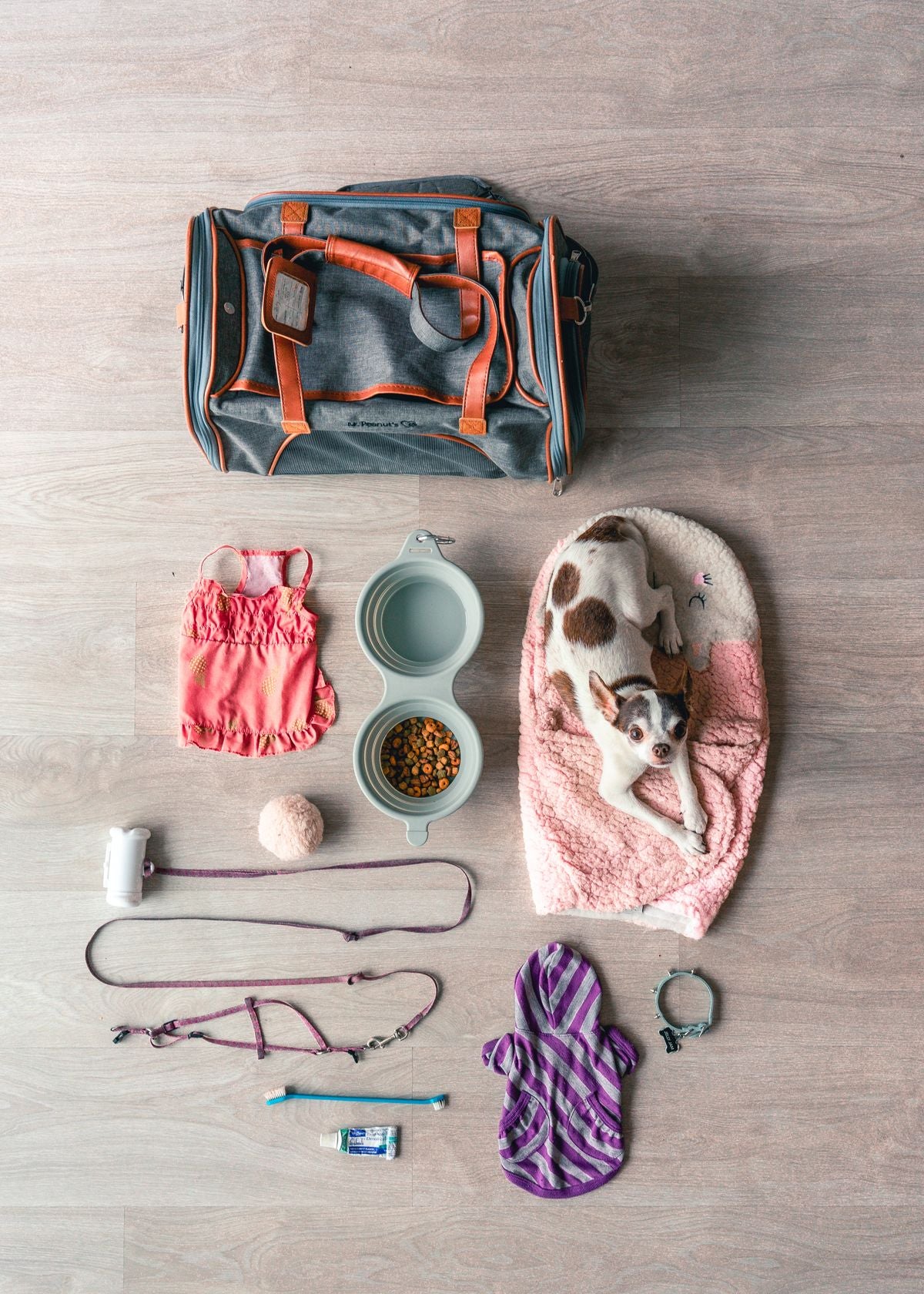 Slow-feeder dog bowl